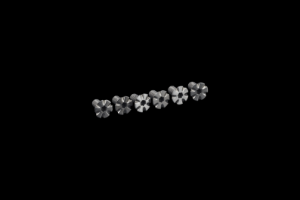 Space Driver Scope Mount Screws 